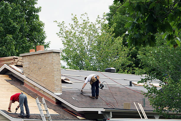 Gutter Installation and Roofing in Colfax, LA